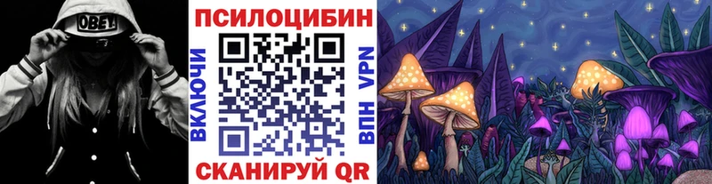Галлюциногенные грибы MAGIC MUSHROOMS  mega ссылка  Нарьян-Мар  где купить наркотик 