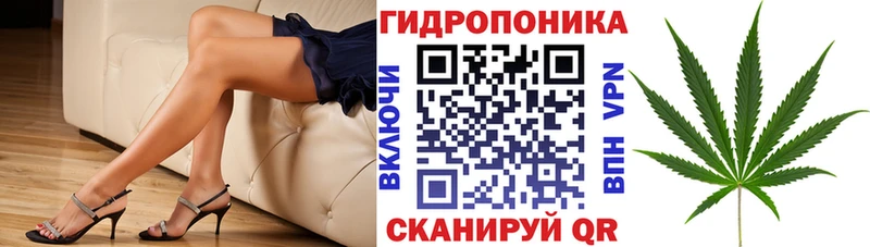 Шишки марихуана THC 21%  гидра ТОР  Нарьян-Мар 